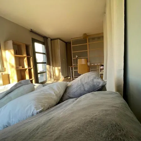 Glass And Wood Designer With Garden In Centertown *